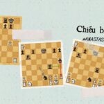hình ảnh bài viết Homepage 1