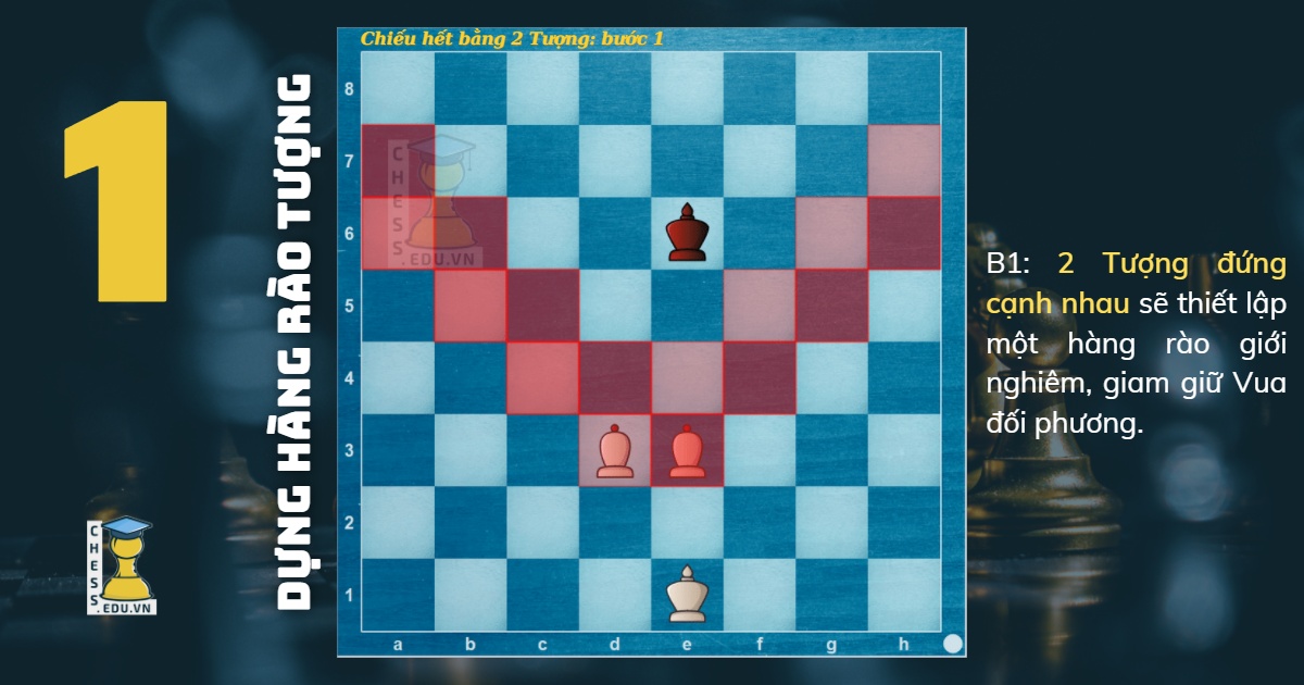 Chiếu hết bằng 2 Tượng: Bước 1 | Blog cờ vua