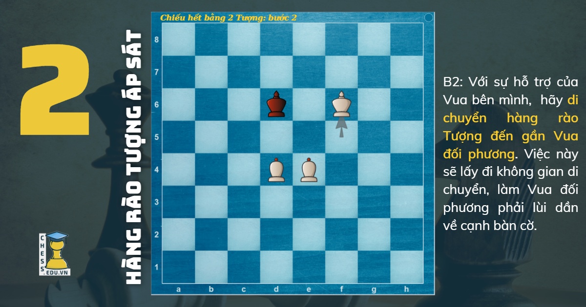 Chiếu hết bằng 2 Tượng: Bước 2 | Blog cờ vua
