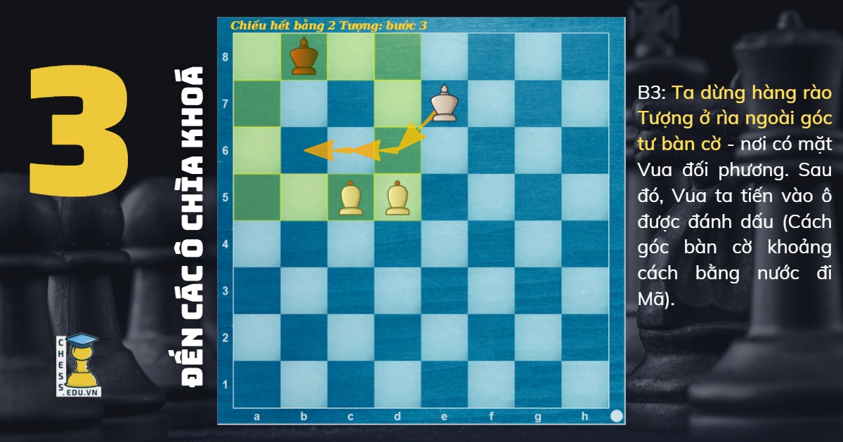 Chiếu hết bằng 2 Tượng: Bước 3 | Blog cờ vua