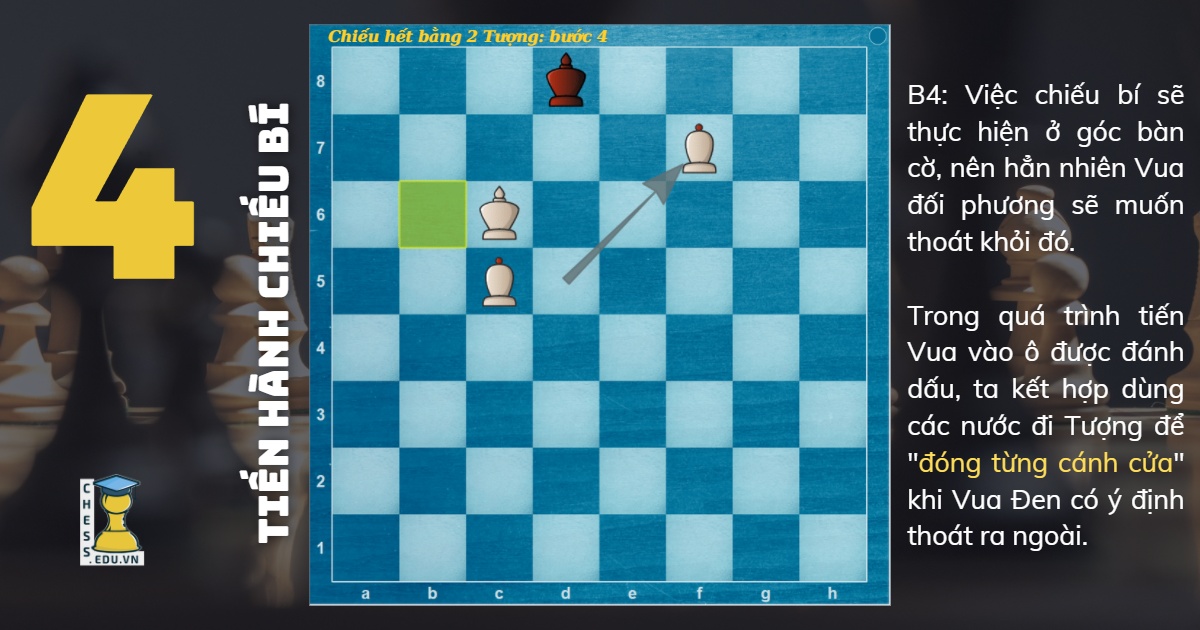 Chiếu hết bằng 2 Tượng: Bước 4 | Blog cờ vua